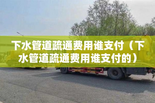 下水管道疏通费用谁支付（下水管道疏通费用谁支付的）
