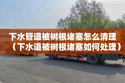 下水管道被树根堵塞怎么清理（下水道被树根堵塞如何处理）
