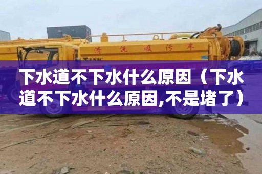 下水道不下水什么原因（下水道不下水什么原因,不是堵了）
