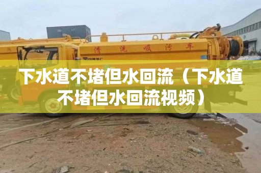 下水道不堵但水回流（下水道不堵但水回流视频）