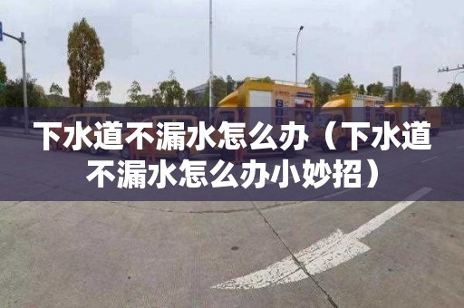 下水道不漏水怎么办（下水道不漏水怎么办小妙招）