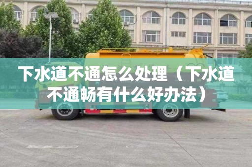 下水道不通怎么处理（下水道不通畅有什么好办法）