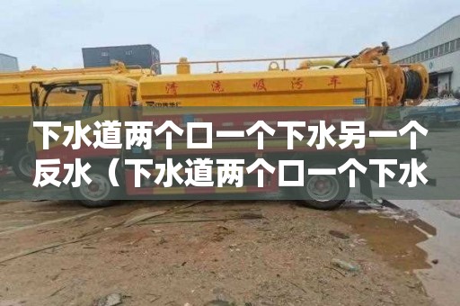 下水道两个口一个下水另一个反水（下水道两个口一个下水另一个反水怎么办）