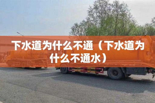下水道为什么不通（下水道为什么不通水）
