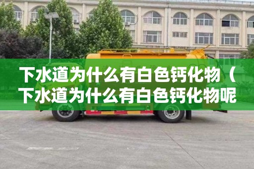 下水道为什么有白色钙化物（下水道为什么有白色钙化物呢）