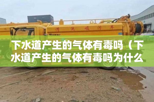 下水道产生的气体有毒吗（下水道产生的气体有毒吗为什么）