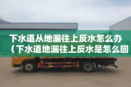 下水道从地漏往上反水怎么办（下水道地漏往上反水是怎么回事）