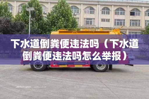 下水道倒粪便违法吗（下水道倒粪便违法吗怎么举报）