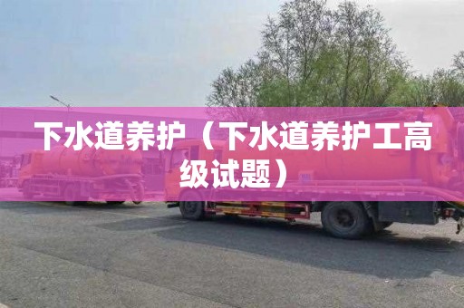 下水道养护（下水道养护工高级试题）