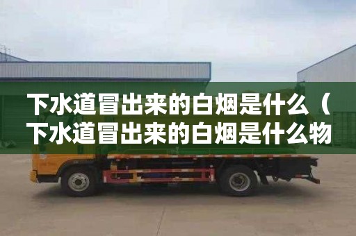 下水道冒出来的白烟是什么（下水道冒出来的白烟是什么物质）