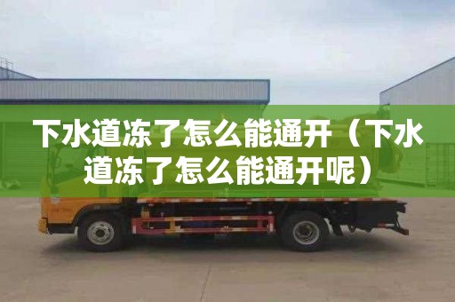 下水道冻了怎么能通开（下水道冻了怎么能通开呢）