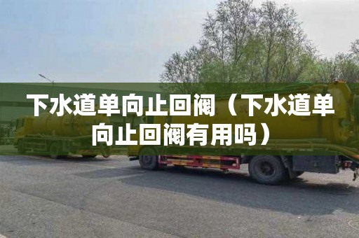 下水道单向止回阀（下水道单向止回阀有用吗）