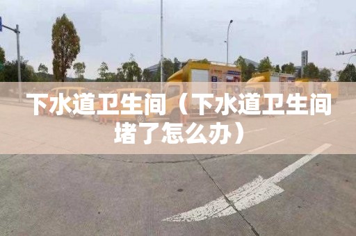 下水道卫生间（下水道卫生间堵了怎么办）