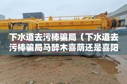 下水道去污棒骗局（下水道去污棒骗局马醉木喜荫还是喜阳）