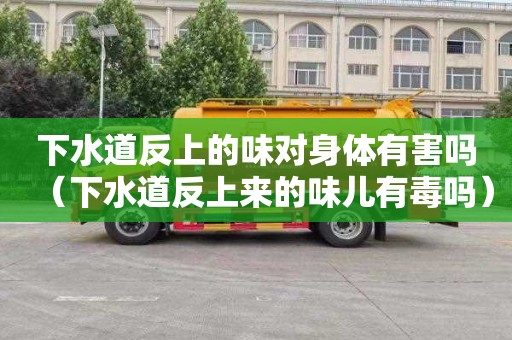 下水道反上的味对身体有害吗（下水道反上来的味儿有毒吗）