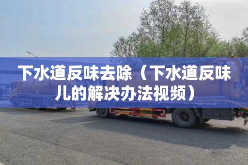 下水道反味去除（下水道反味儿的解决办法视频）