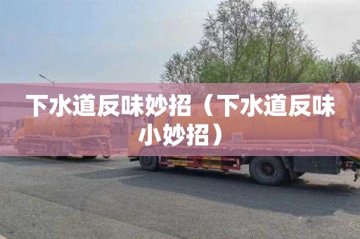 下水道反味妙招（下水道反味小妙招）