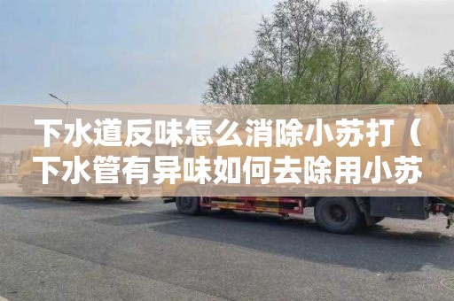 下水道反味怎么消除小苏打（下水管有异味如何去除用小苏打加醋）