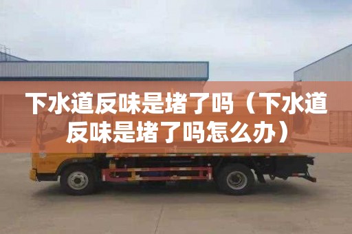 下水道反味是堵了吗（下水道反味是堵了吗怎么办）