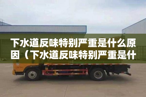 下水道反味特别严重是什么原因（下水道反味特别严重是什么原因造成的）