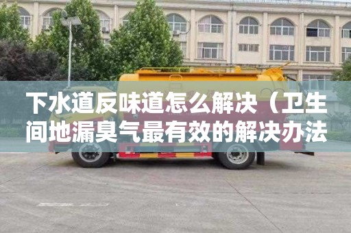 下水道反味道怎么解决（卫生间地漏臭气最有效的解决办法）