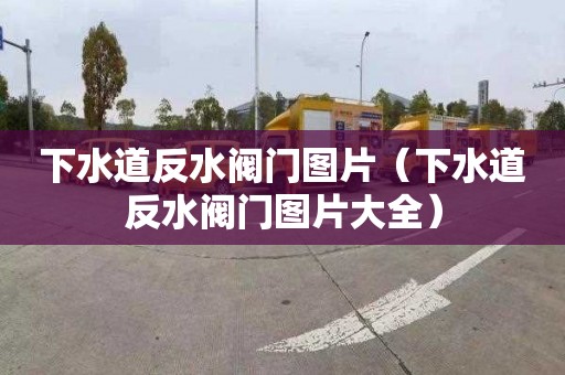 下水道反水阀门图片（下水道反水阀门图片大全）