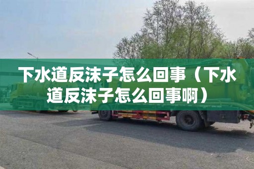 下水道反沫子怎么回事（下水道反沫子怎么回事啊）