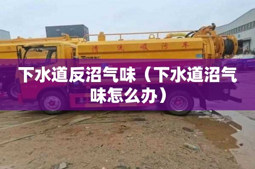 下水道反沼气味（下水道沼气味怎么办）