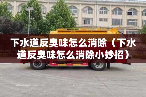 下水道反臭味怎么消除（下水道反臭味怎么消除小妙招）
