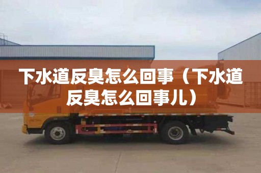 下水道反臭怎么回事（下水道反臭怎么回事儿）