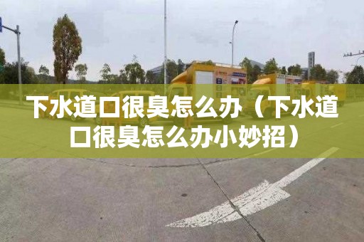 下水道口很臭怎么办（下水道口很臭怎么办小妙招）