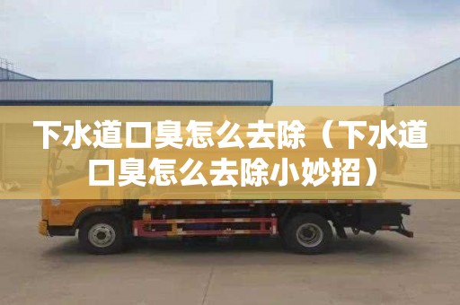 下水道口臭怎么去除（下水道口臭怎么去除小妙招）