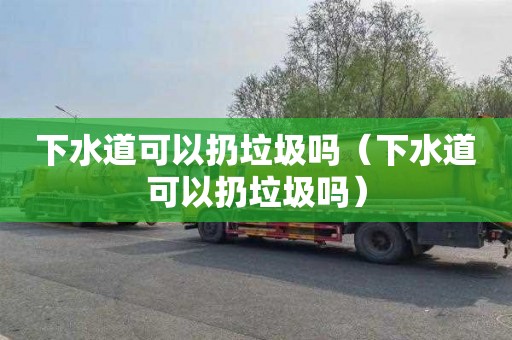 下水道可以扔垃圾吗（下水道可以扔垃圾吗）