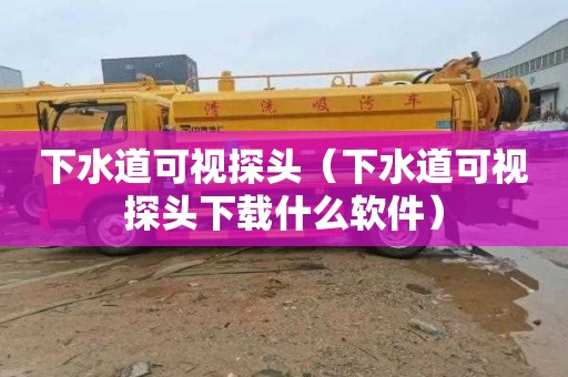 下水道可视探头（下水道可视探头下载什么软件）