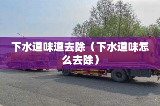 下水道味道去除（下水道味怎么去除）
