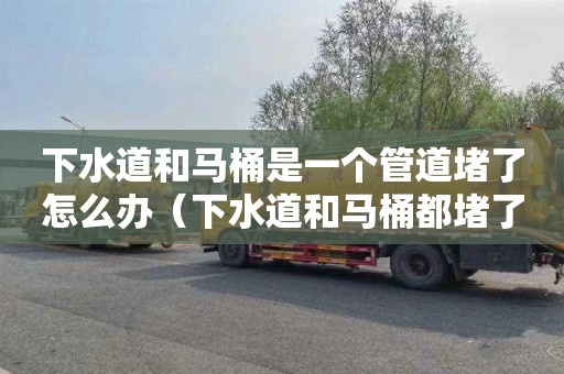下水道和马桶是一个管道堵了怎么办（下水道和马桶都堵了怎么办）