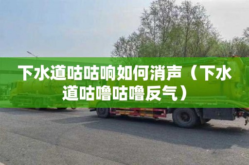 下水道咕咕响如何消声（下水道咕噜咕噜反气）