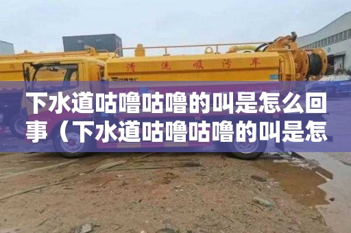 下水道咕噜咕噜的叫是怎么回事（下水道咕噜咕噜的叫是怎么回事啊）