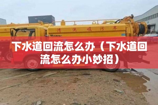 下水道回流怎么办（下水道回流怎么办小妙招）