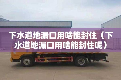 下水道地漏口用啥能封住（下水道地漏口用啥能封住呢）