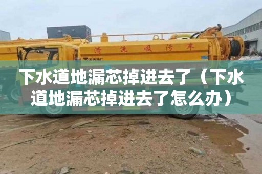 下水道地漏芯掉进去了（下水道地漏芯掉进去了怎么办）
