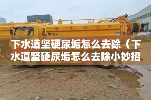 下水道坚硬尿垢怎么去除（下水道坚硬尿垢怎么去除小妙招）
