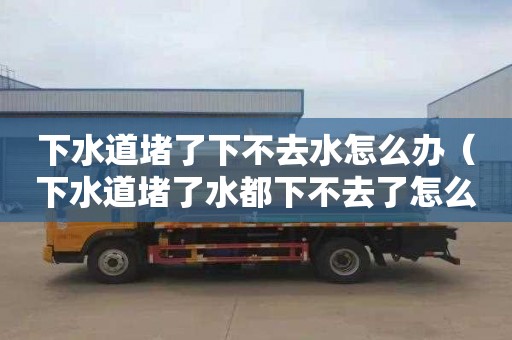 下水道堵了下不去水怎么办（下水道堵了水都下不去了怎么办）