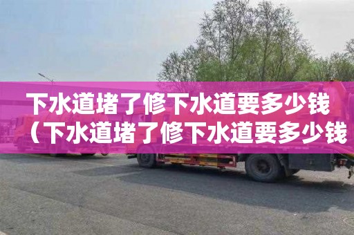 下水道堵了修下水道要多少钱（下水道堵了修下水道要多少钱呢）