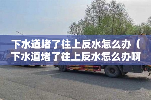 下水道堵了往上反水怎么办（下水道堵了往上反水怎么办啊）