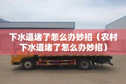 下水道堵了怎么办妙招（农村下水道堵了怎么办妙招）