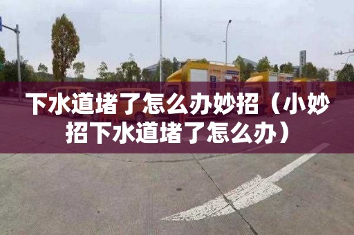 下水道堵了怎么办妙招（小妙招下水道堵了怎么办）