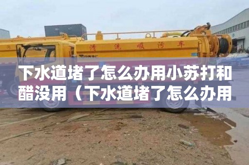 下水道堵了怎么办用小苏打和醋没用（下水道堵了怎么办用小苏打和醋没用了）