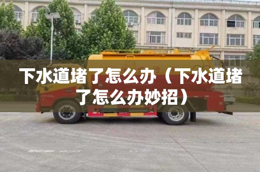 下水道堵了怎么办（下水道堵了怎么办妙招）