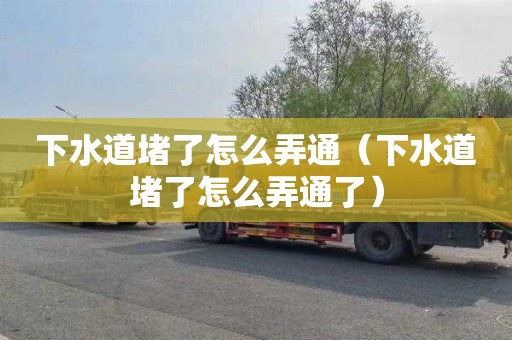 下水道堵了怎么弄通（下水道堵了怎么弄通了）